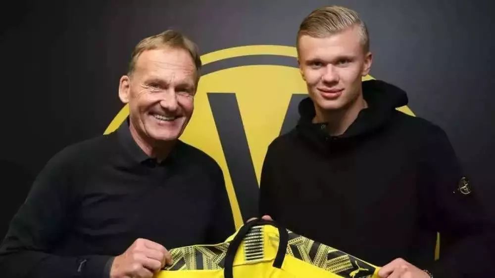 分歧中寻找 分歧中寻找