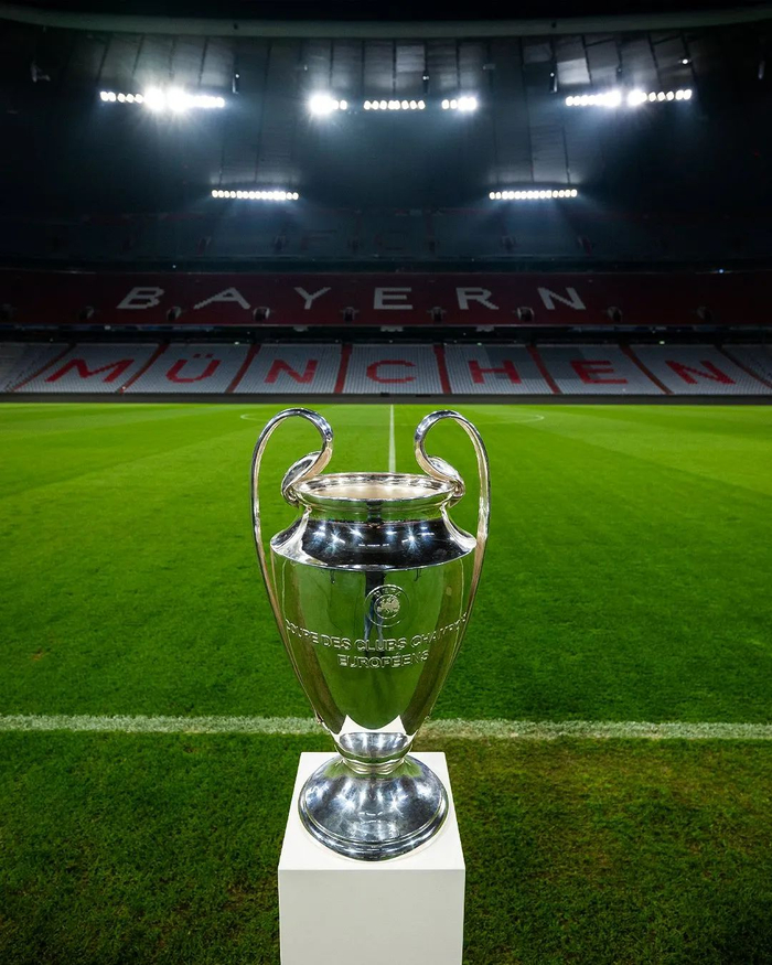 排球等项目 排球等项目